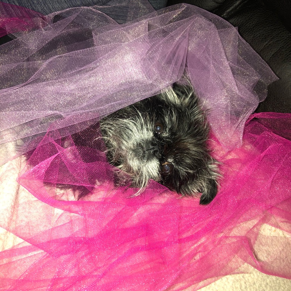 Men, Women and kids items for sale.